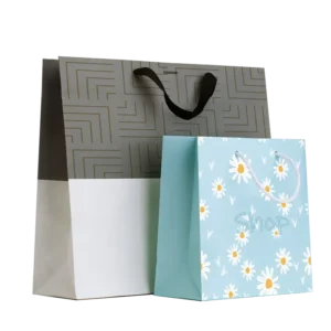 Custom Printed Paper Bags